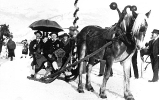 Pferde im Pinzgau